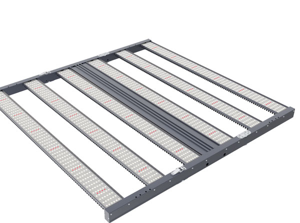 The Intensity of LED Grow Lights Affects Plant Growth and Photosynthetic Characteristics