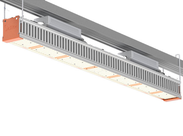 About LED Marijuana Grow Lights