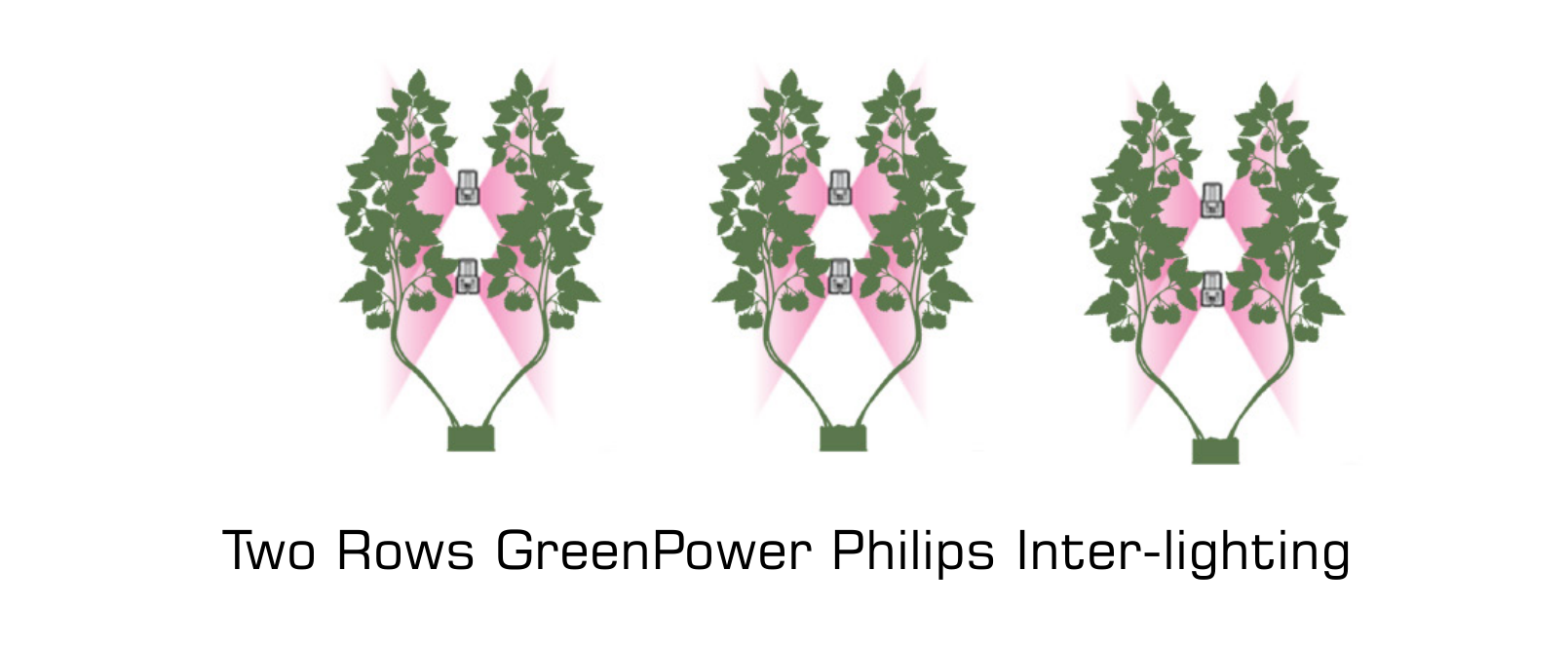 Two_Rows_GreenPower_Philips_Inter-lighting.png