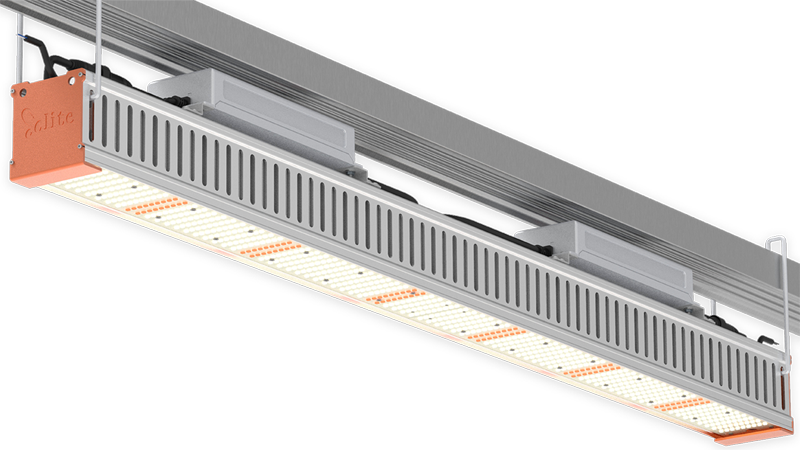 Demeter Series LED Grow Light