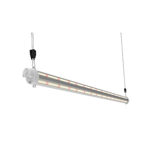 Ultra-Thin LED Grow Light