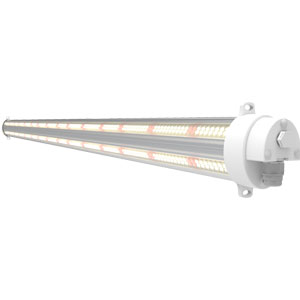 Energy Saving Grow Light