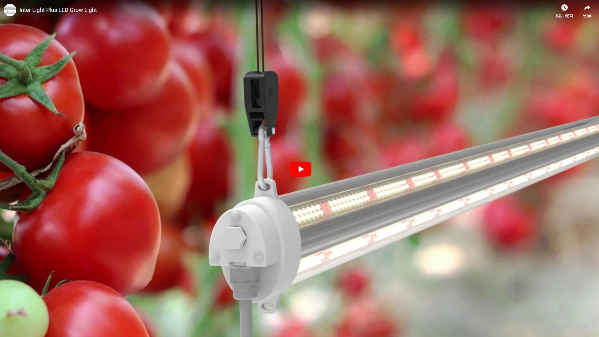 Inter-Light Plus Thin LED Grow Light