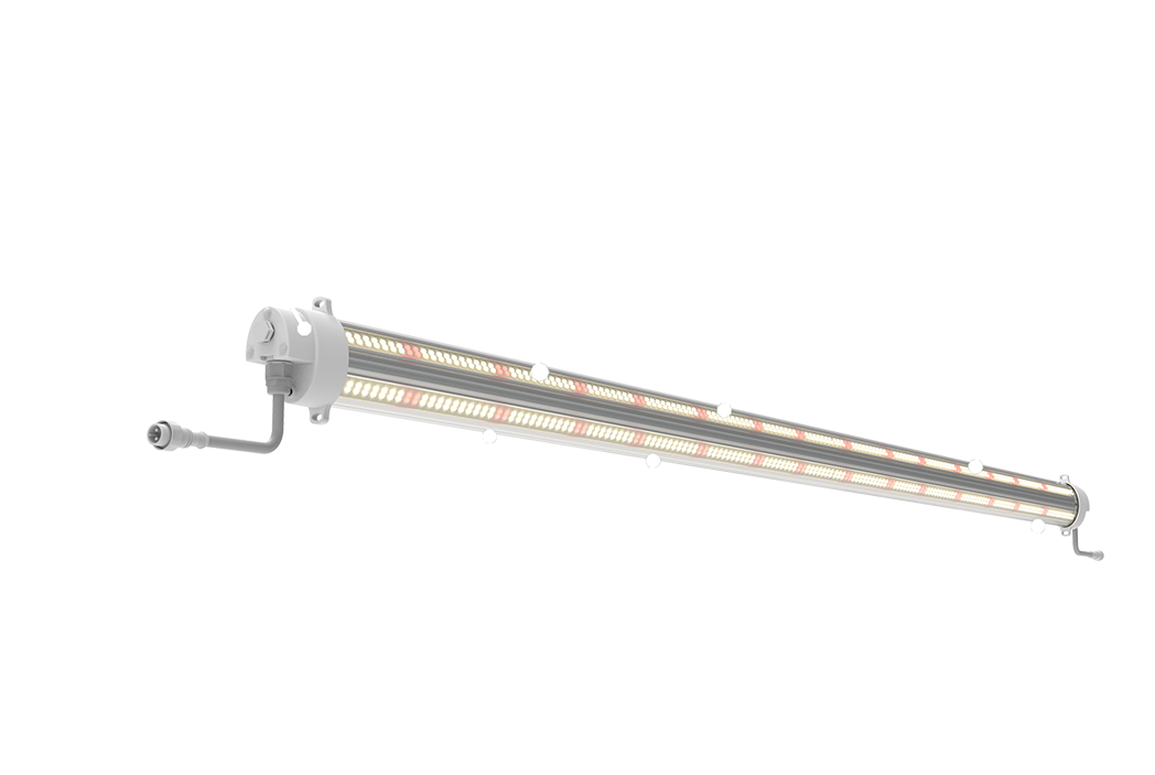 160W High Power Energy Saving Grow Light