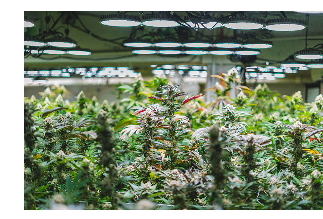 Significant Growing Effects