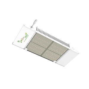 600w LED Grow Light