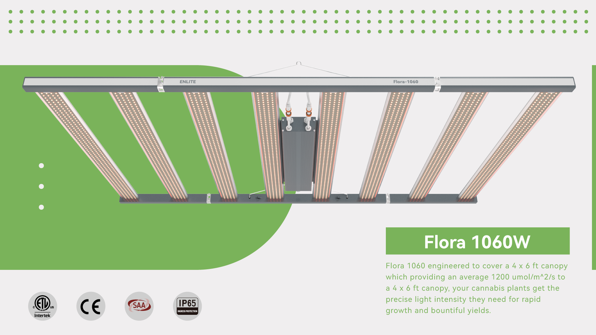 Flora 1060W (4x6ft)